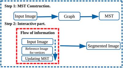 Brain Tumor Segmentation Based on Minimum Spanning Tree